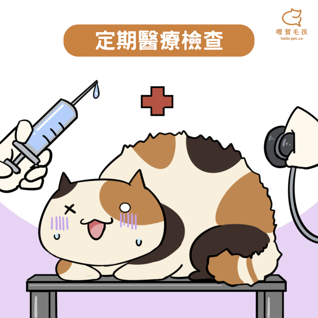 定期醫療檢查