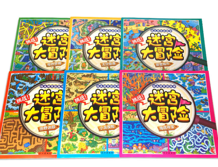 幼儿视觉游戏书 迷宫大冒险（6本）