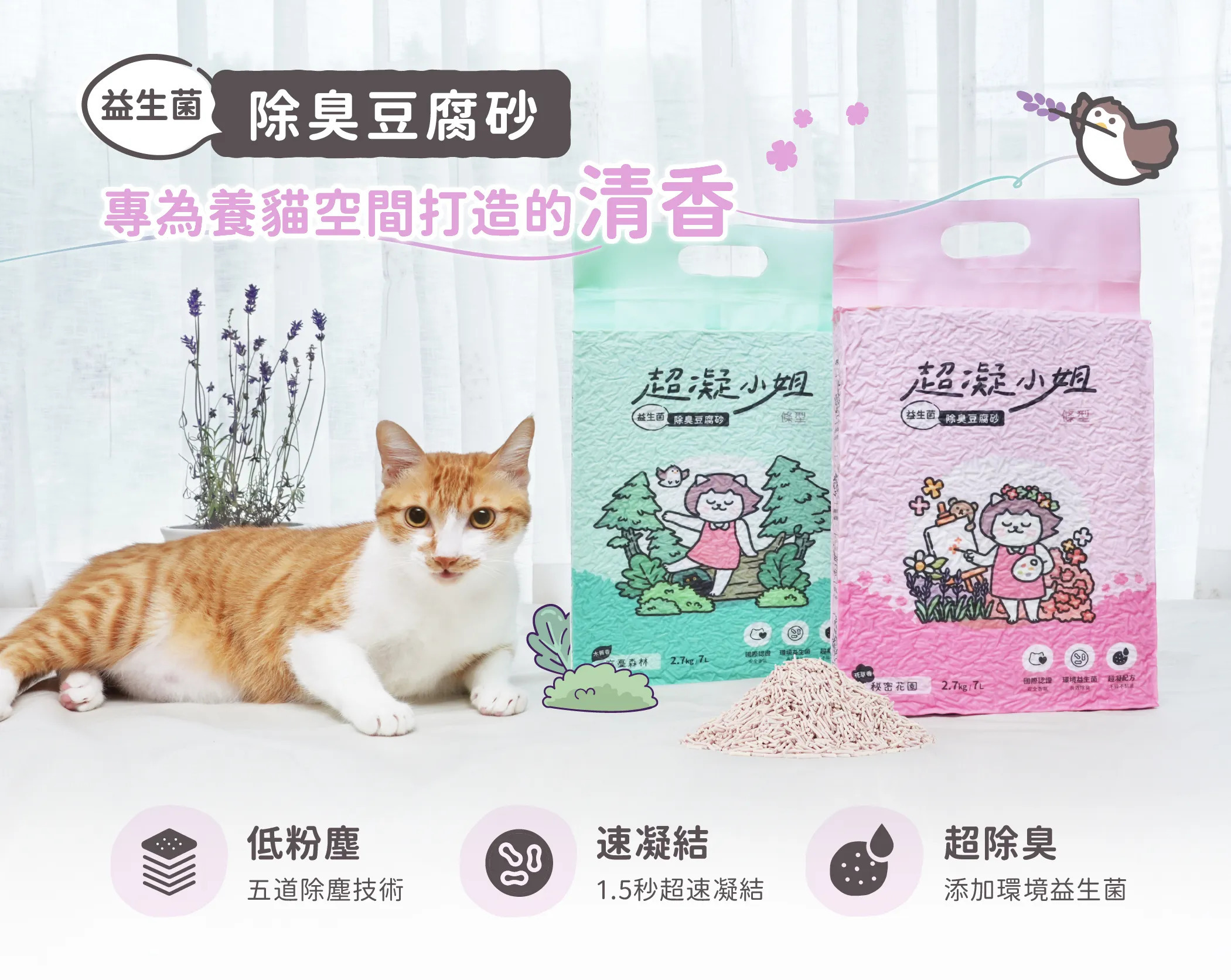 超凝小姐｜益生菌除臭豆腐砂【居家小清新】