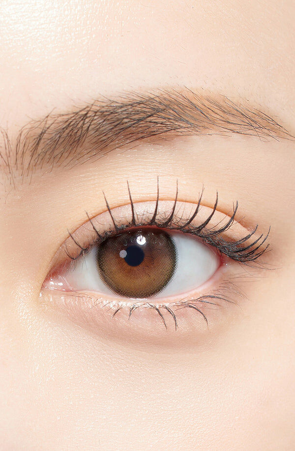 Secretive Kristin 1 Day (Antique Brown)(10片)