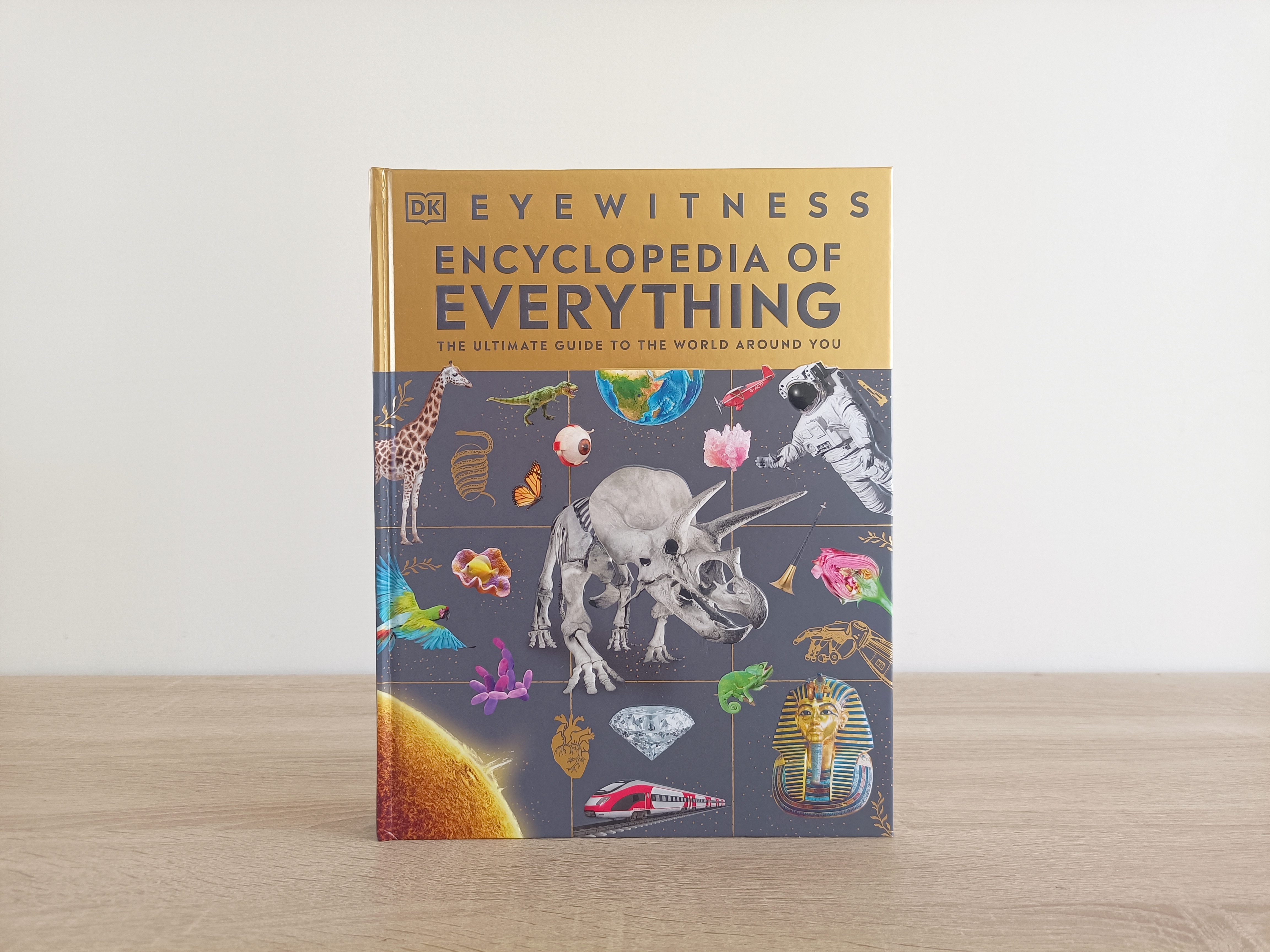 一本滿足您所有知識需求的百科全書《Eyewitness Encyclopedia of Everything》