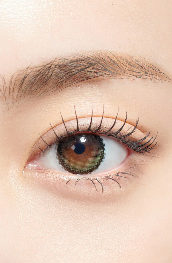 Secretive Kristin Plus 1 Day (Olive)(10片)