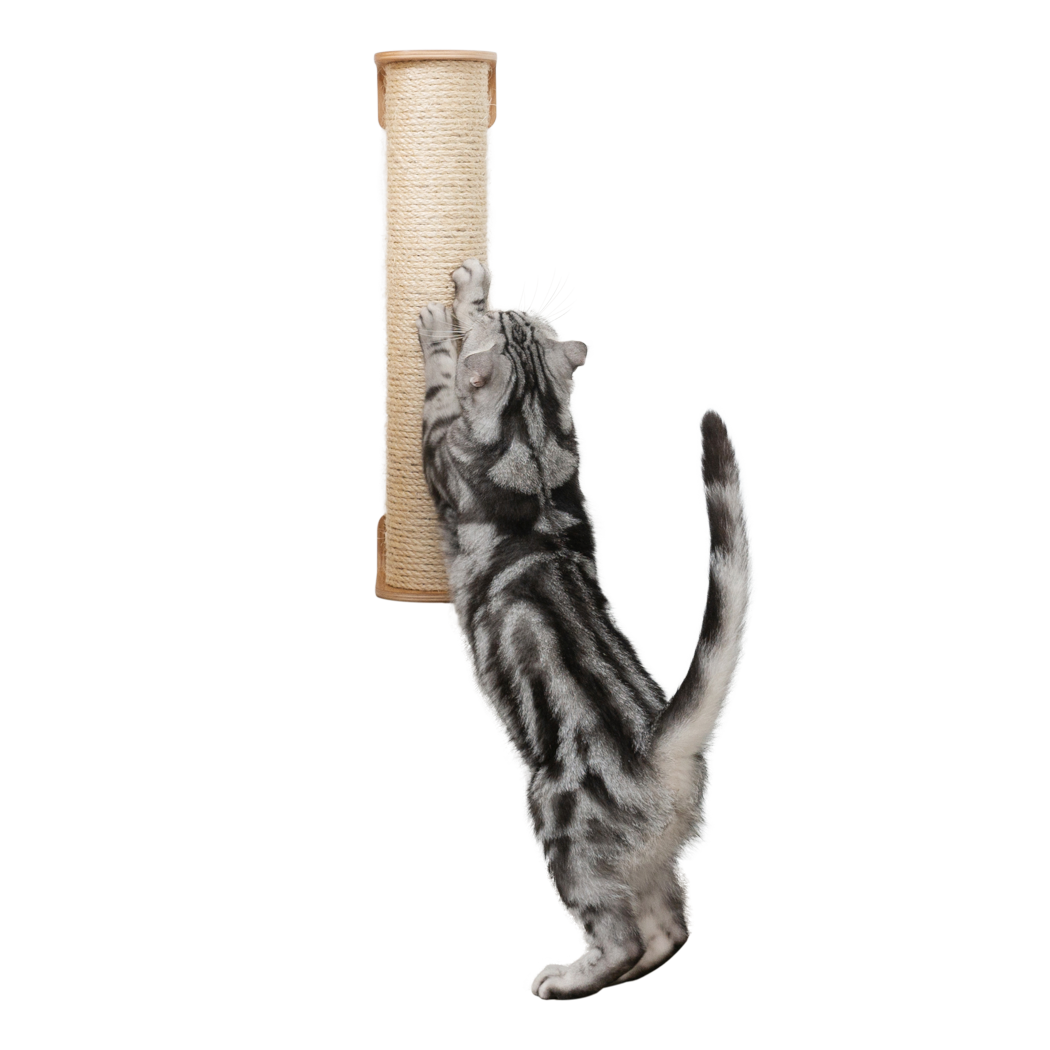 Cylinder - Wall Mounted & Floor Standing Cat Scratcher