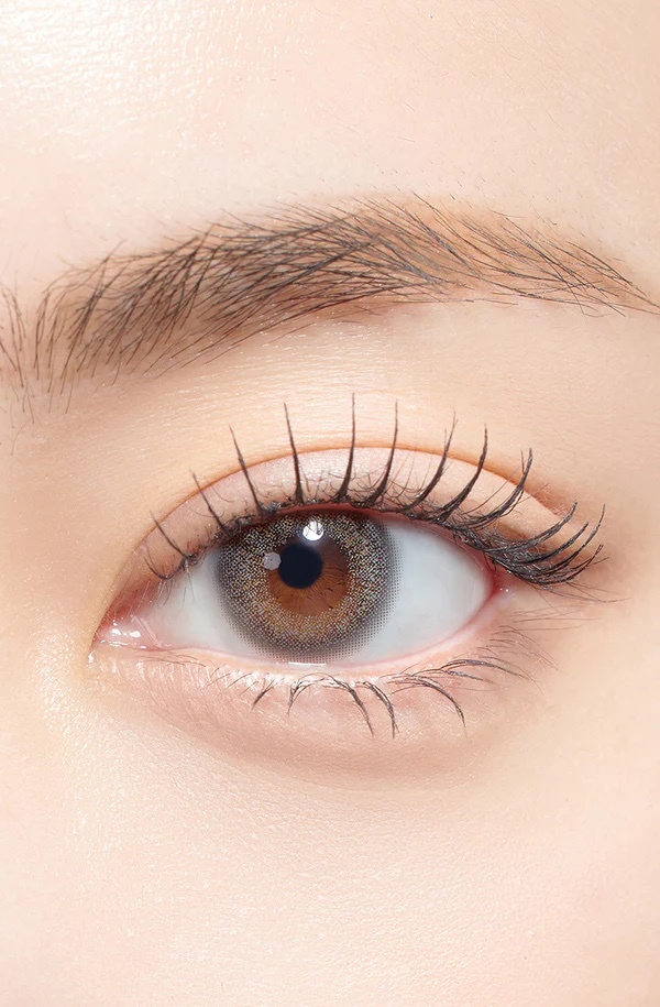 OMG Kristin 1 Day (Gray)(10片)