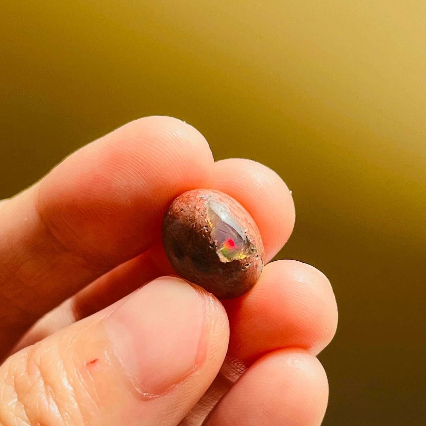 [原石] 墨西哥火蛋白石