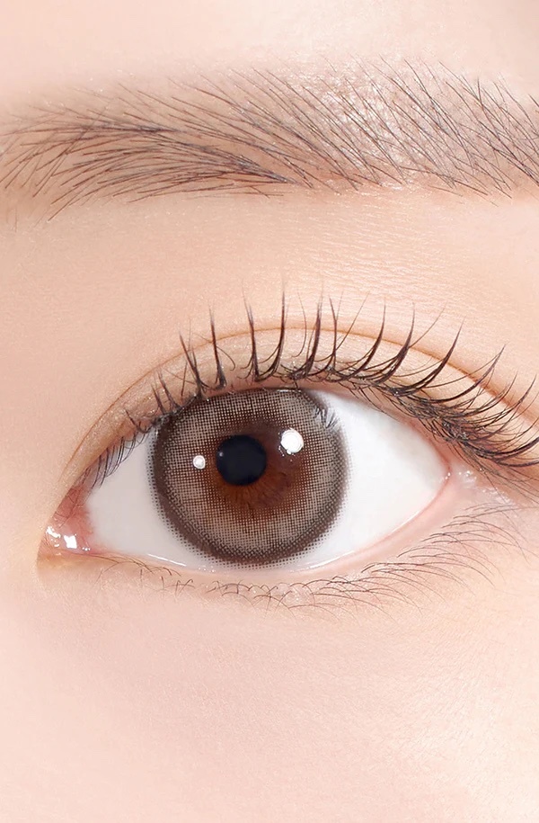 See Through Kristin 1 Day (PC Ash Brown)(10片)