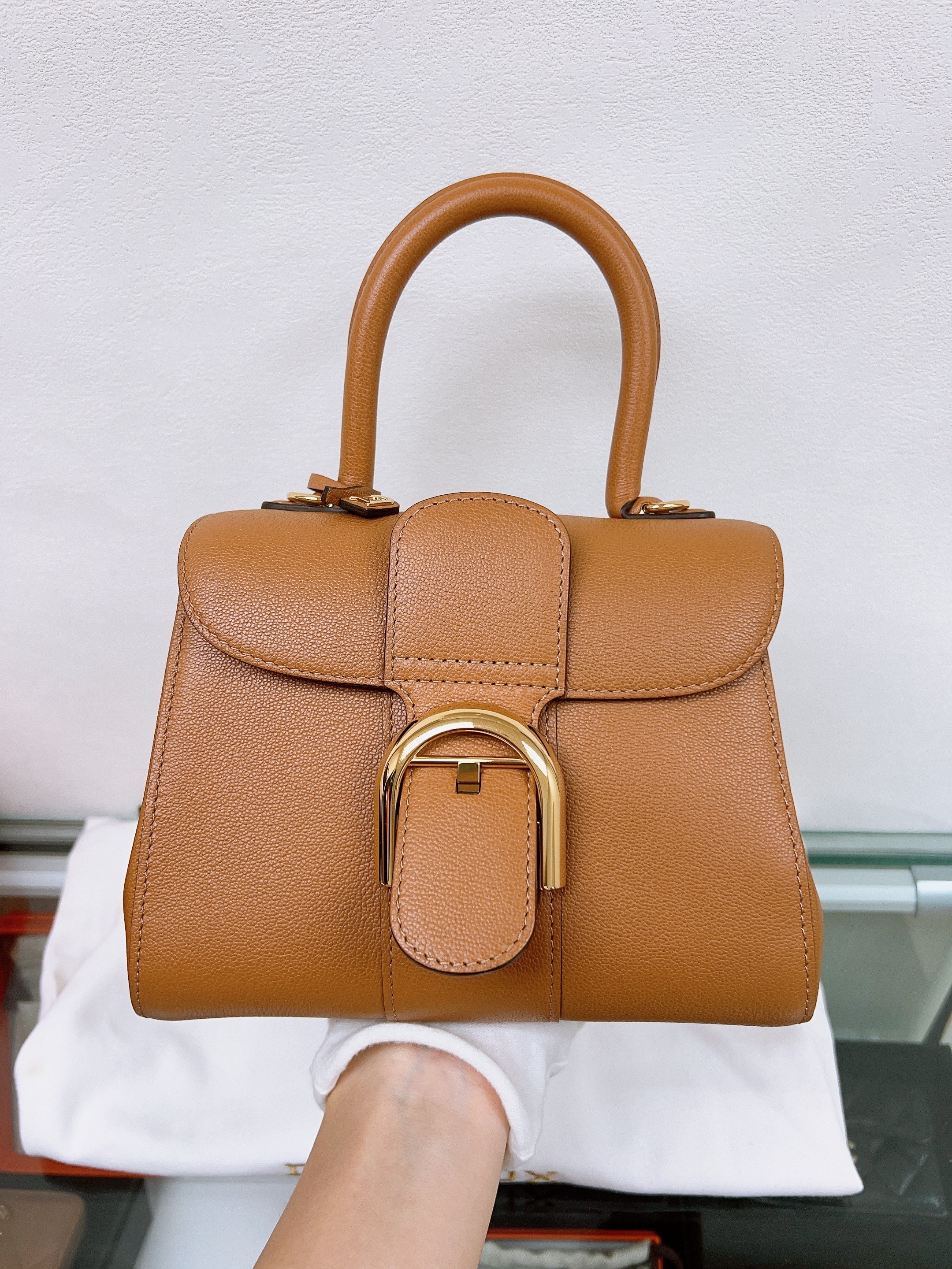 Delvaux brillant mini