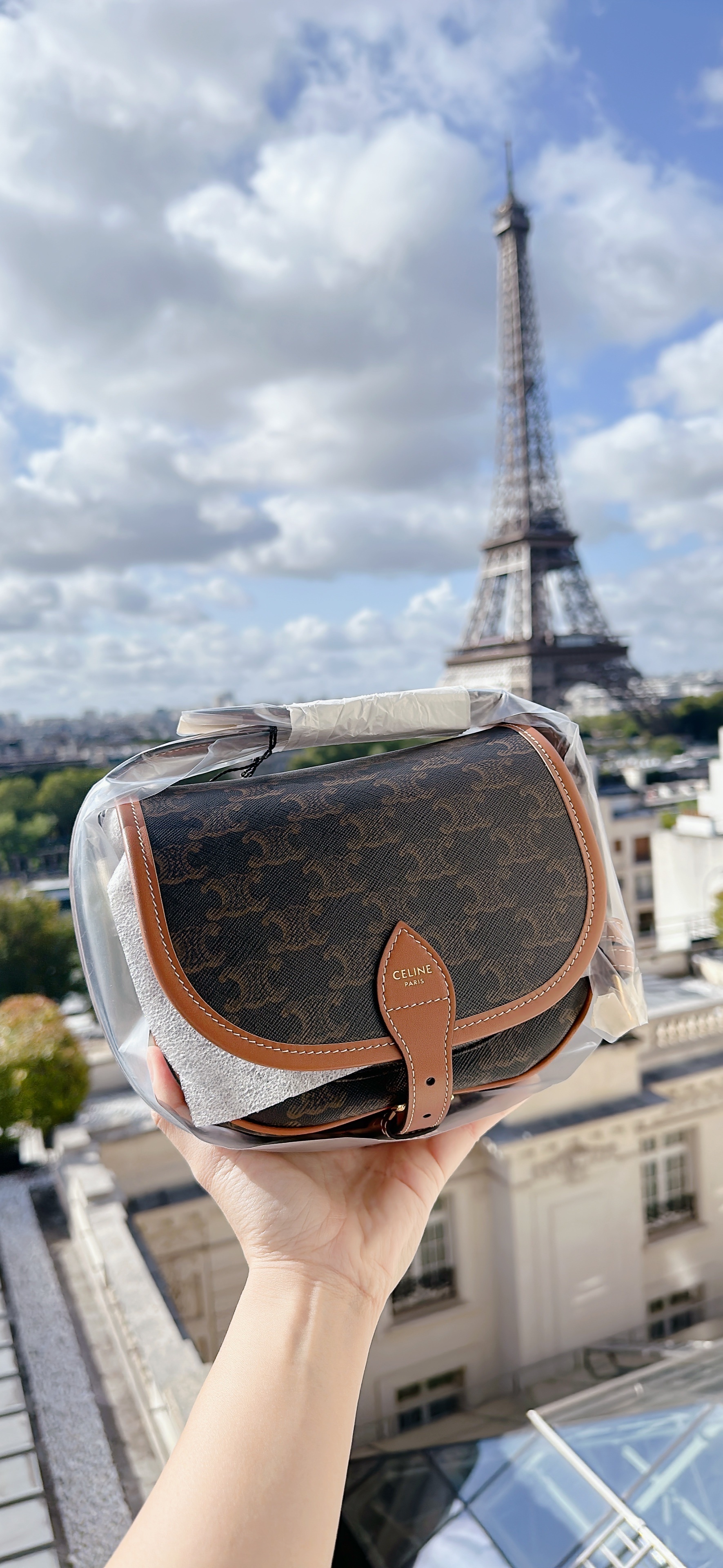 Lisa Celine Folco Bag Folco Leather Crossbody Bag Celine Brown In