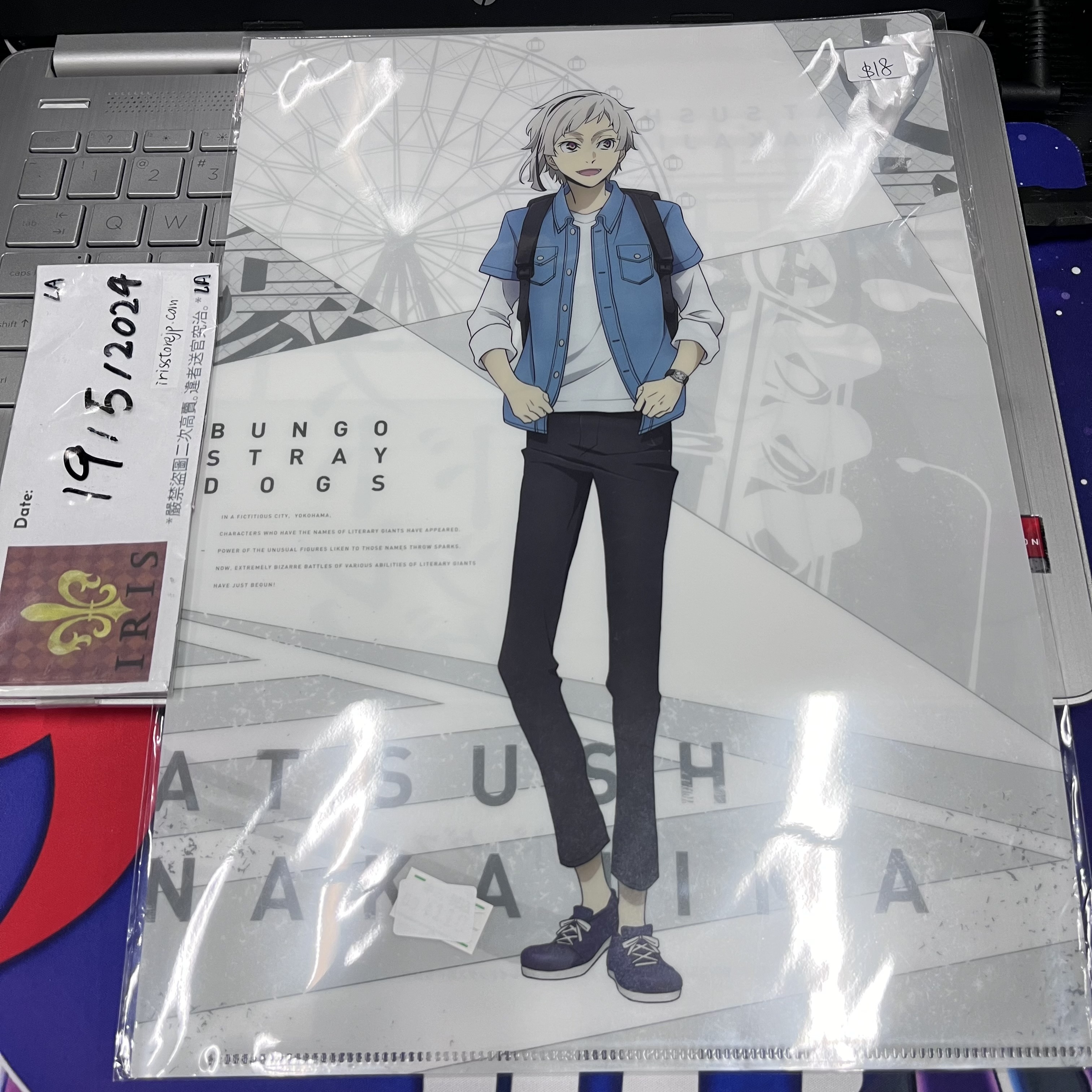 文豪野犬 敦 A4 file