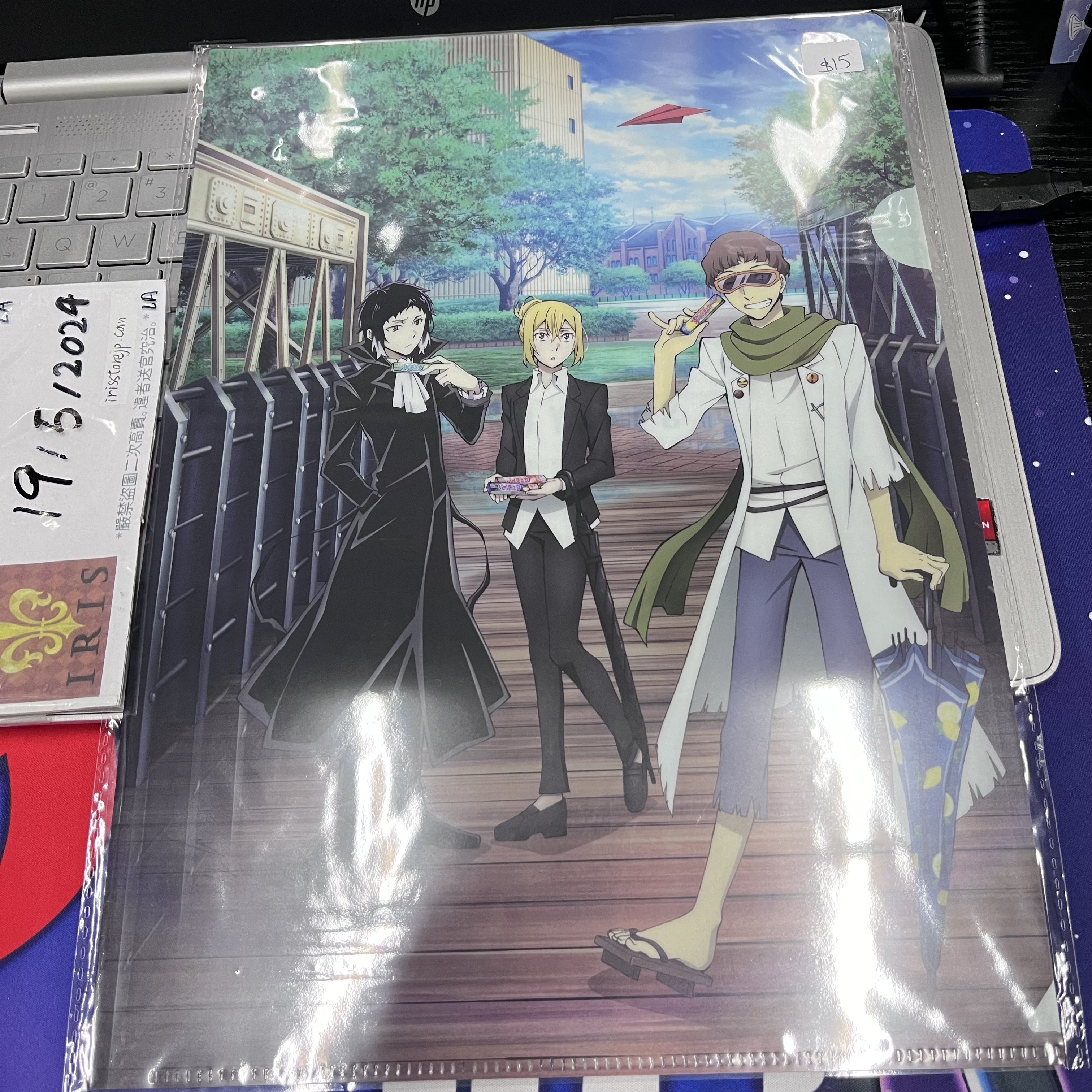 文豪野犬 A4 file