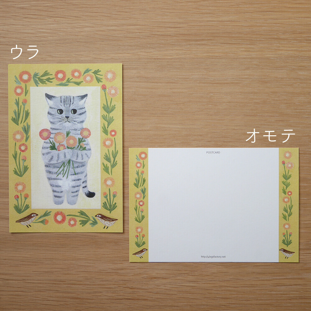 日本 4legs 插畫家 明信片 圖畫書中的貓 #18