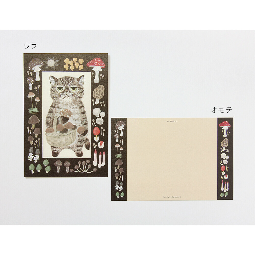 日本 4legs 插畫家 明信片 圖畫書中的貓 #22