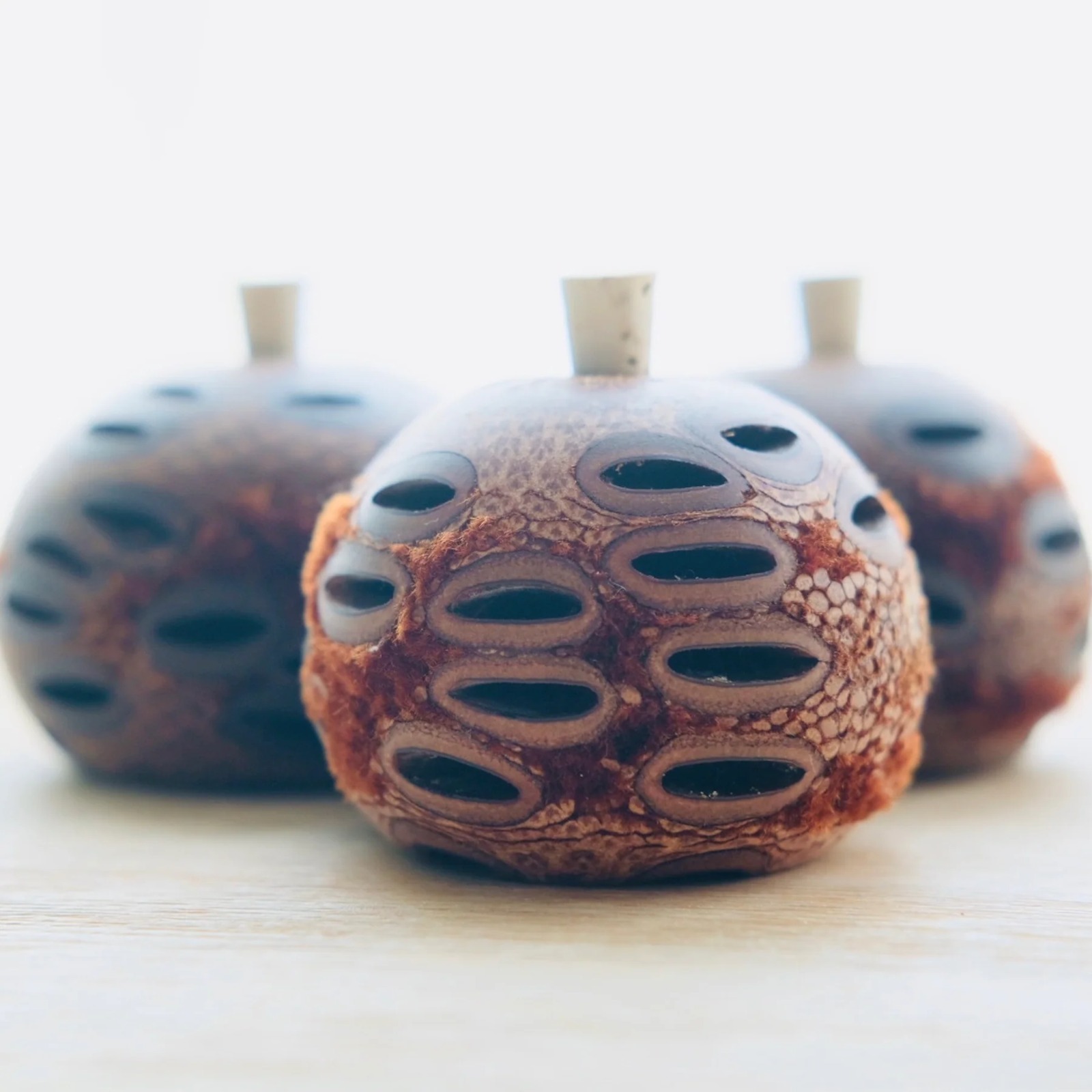 澳洲山龍眼香薰座