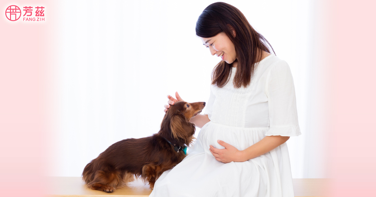 若家裡有養寵物，是否需要送走呢？