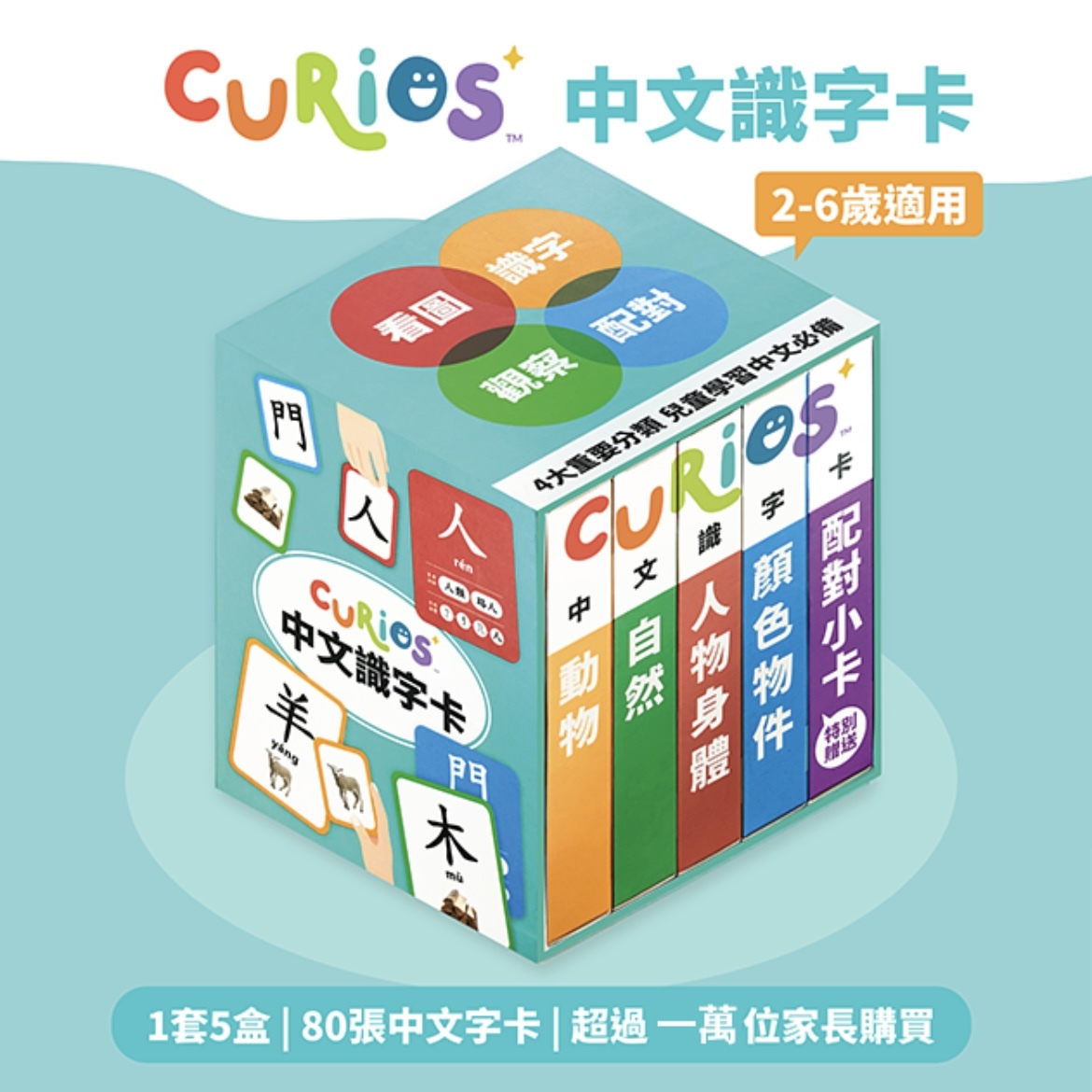 Curios®️ 中文識字卡