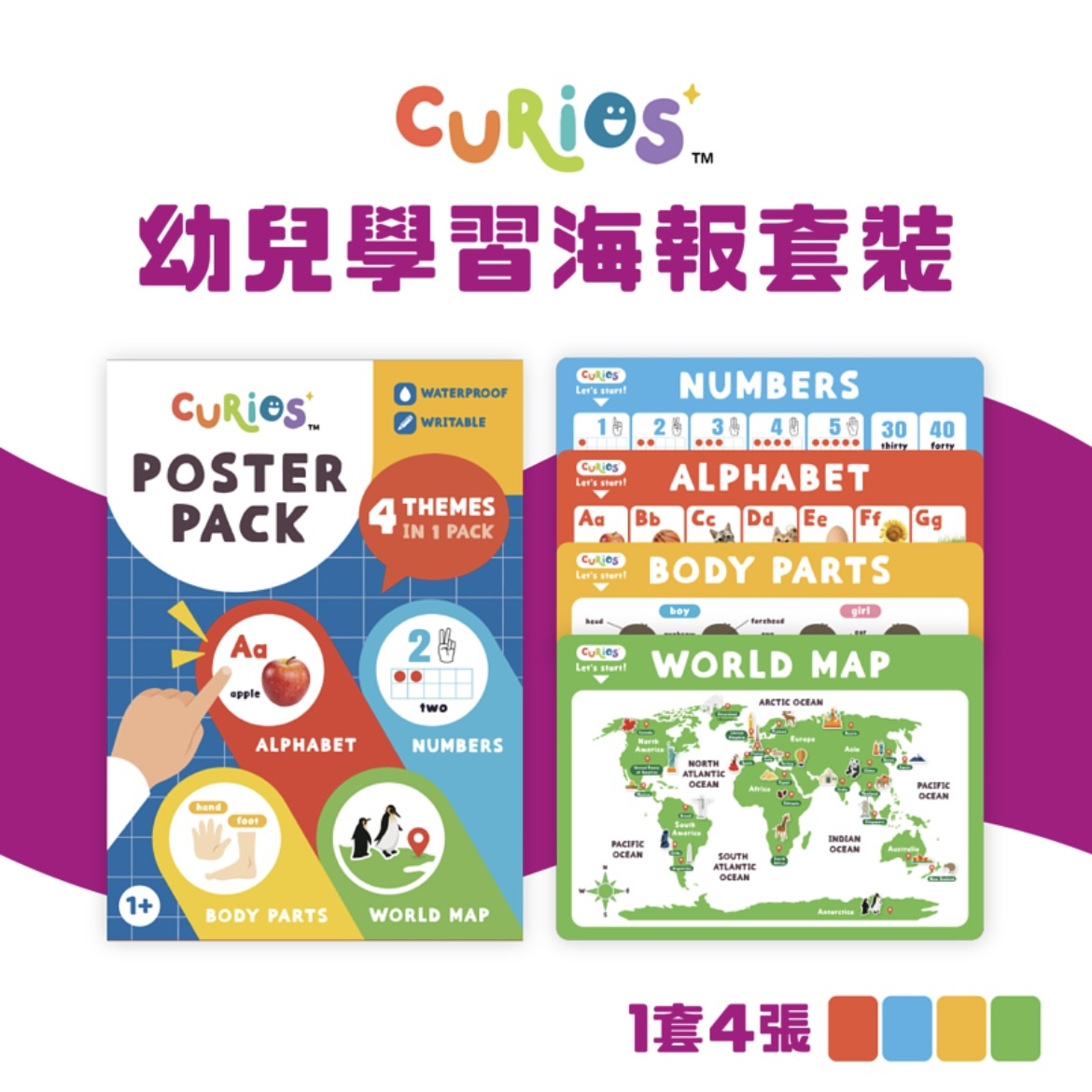 Curios®️ Poster Pack 幼兒學習海報套裝