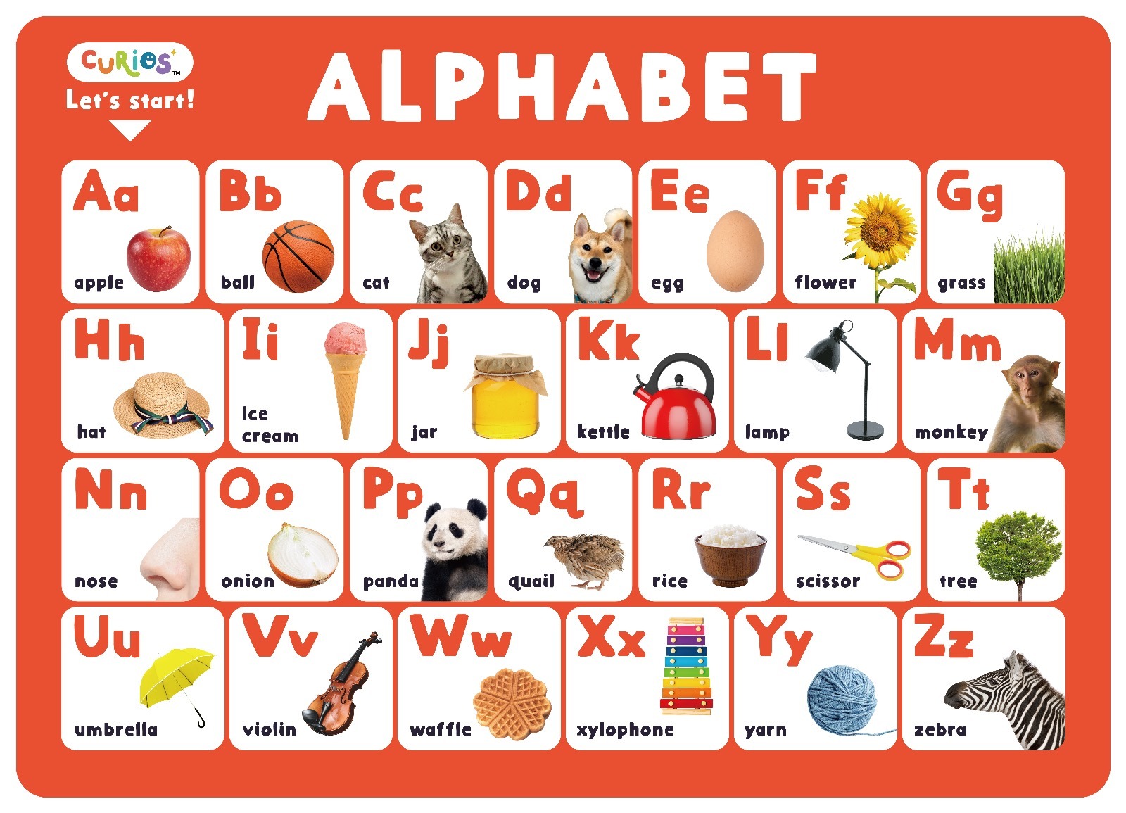 Curios®️ Poster Pack 幼兒學習海報套裝