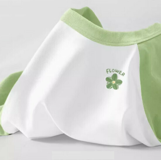 Hot Selling Raglan Contrast Color T-Shirt [Fruit Green (Qingya Flower Chest Logo)] [S-2XL Size] (Please contact customer service to confirm the delivery size after placing the order)