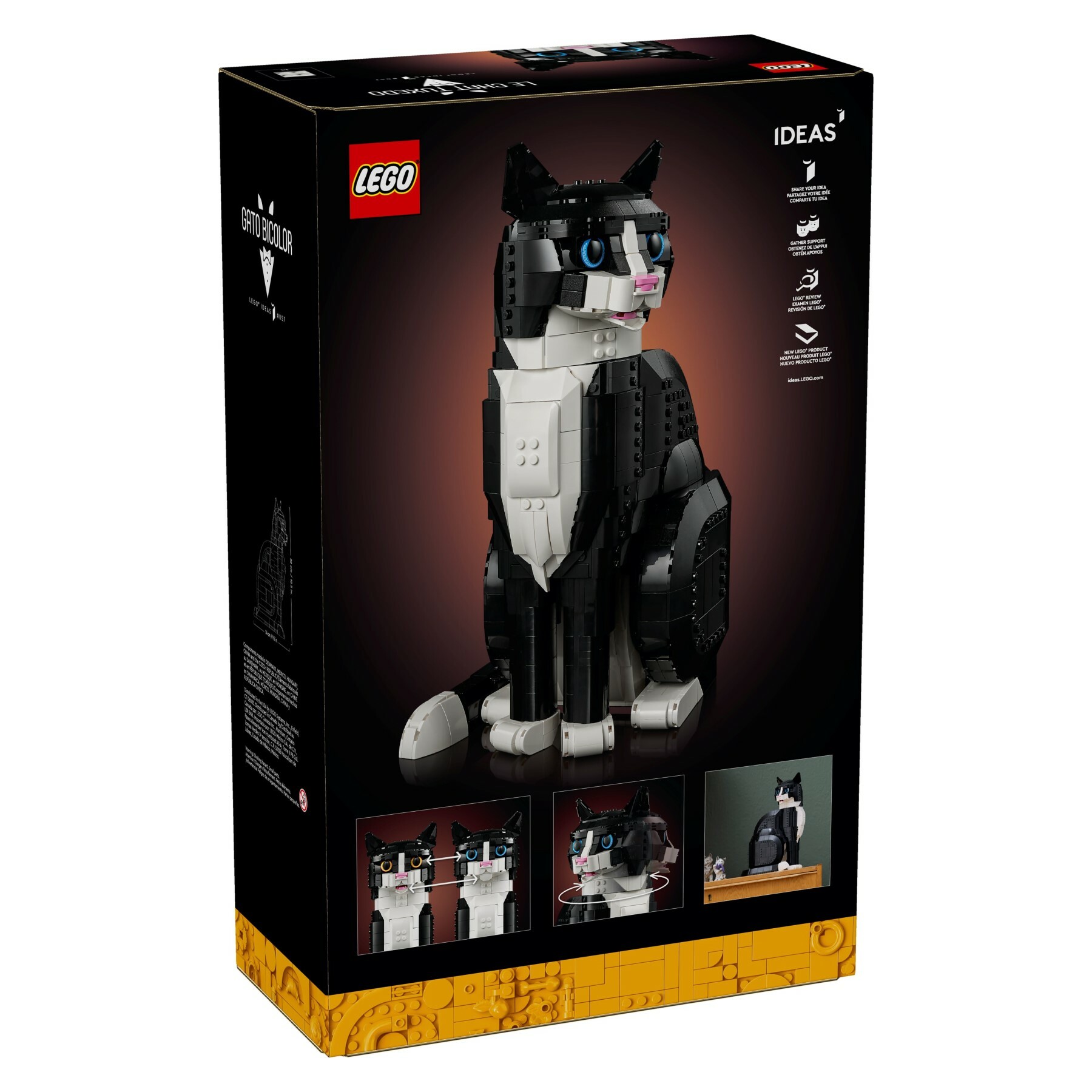 21349 - Tuxedo Cat
