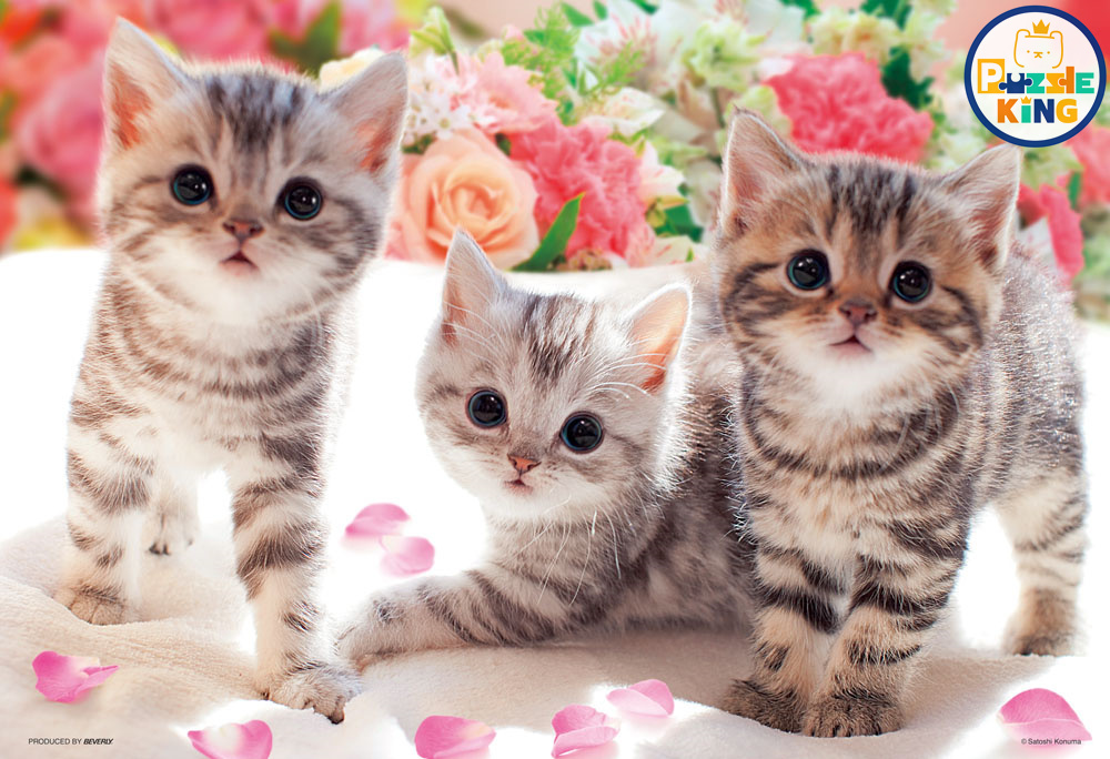 你為什麼不玩？