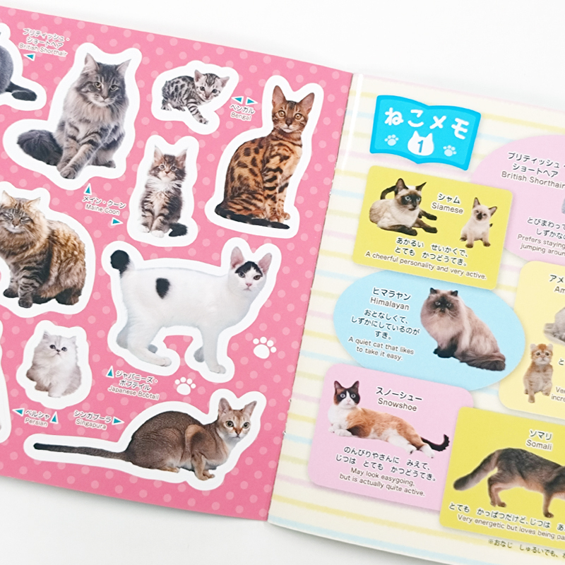 貼紙書/小貓