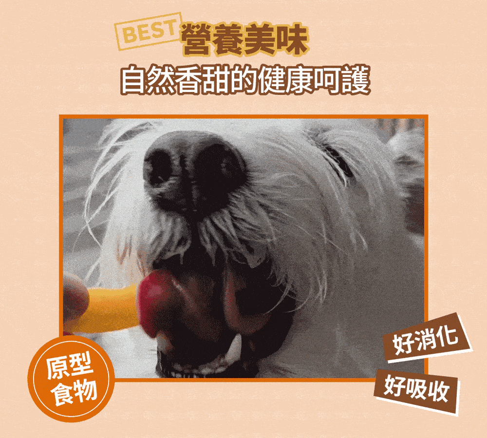 Petio 無穀地瓜餅乾 120g 狗狗餅乾（2）