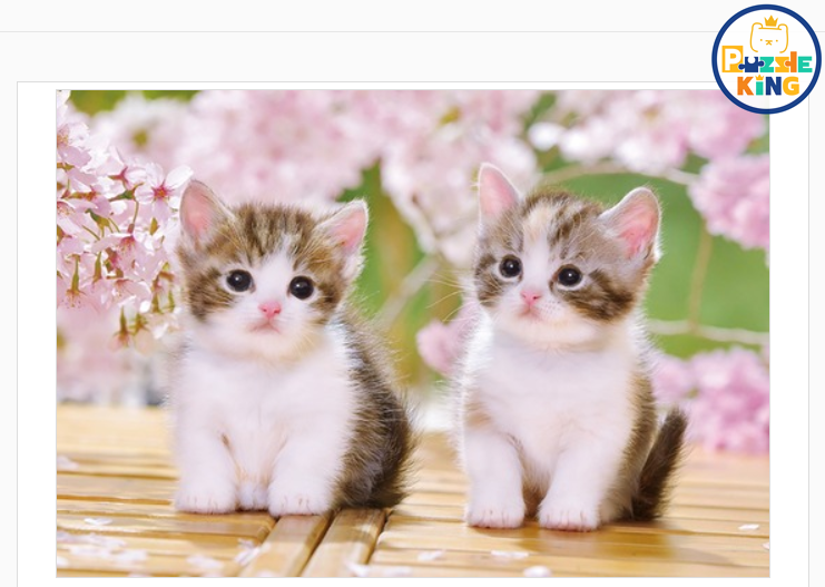 坐著的 Konekonyan