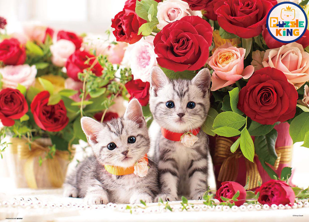 小貓和玫瑰百里香