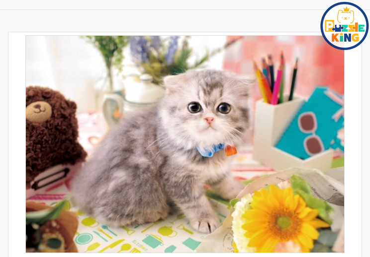 貓、熊和向日葵