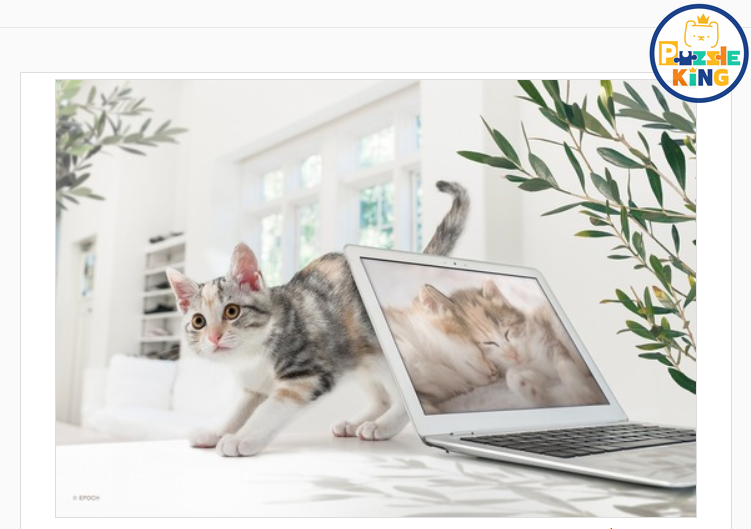 遠距辦公結束了！