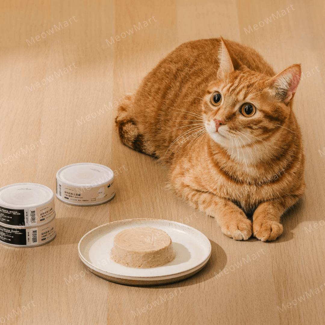 【8罐試食裝】喵皇奴｜95％含肉量主食罐 80g (平均口味)