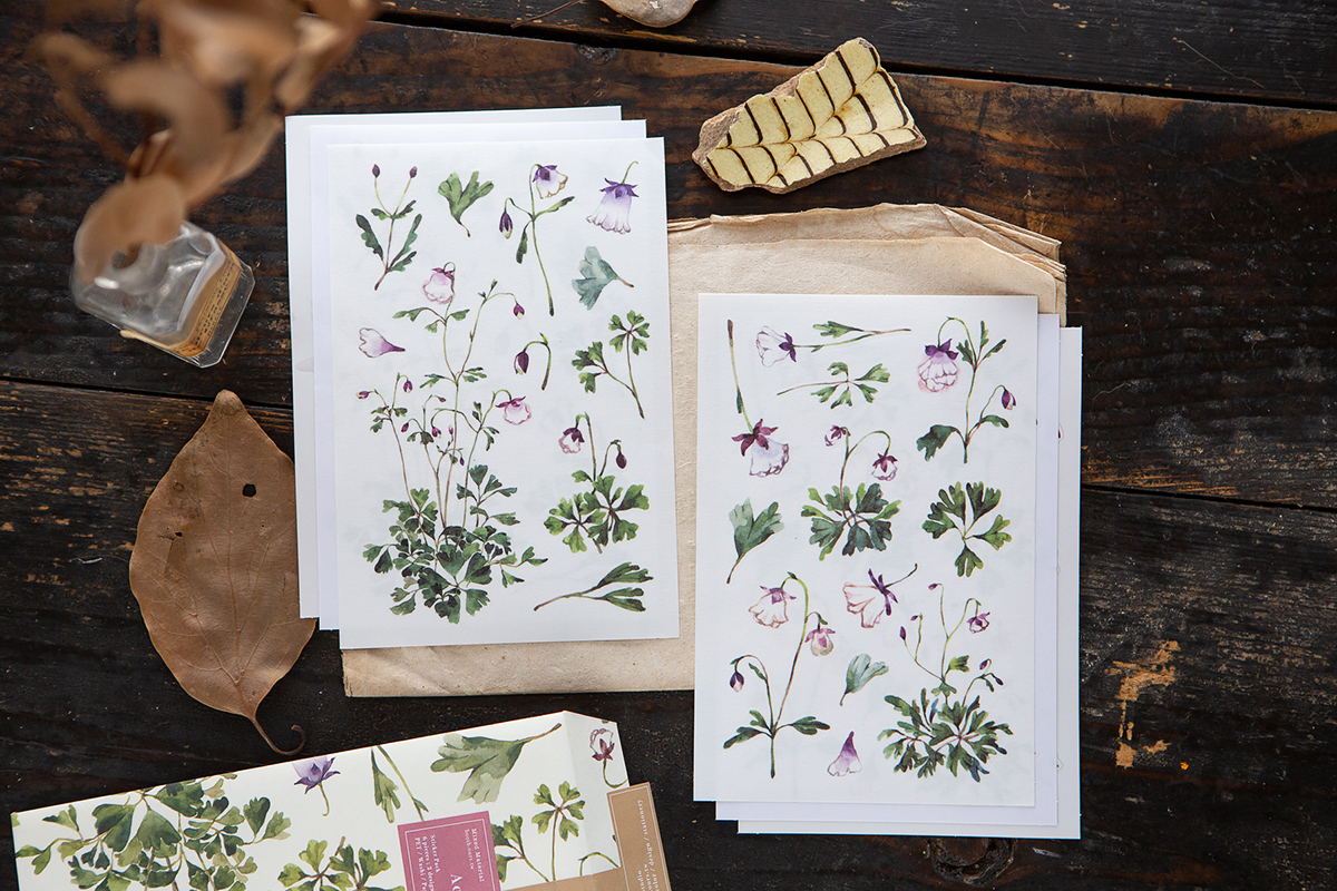 OURS - Aquilegias Sticker Pack