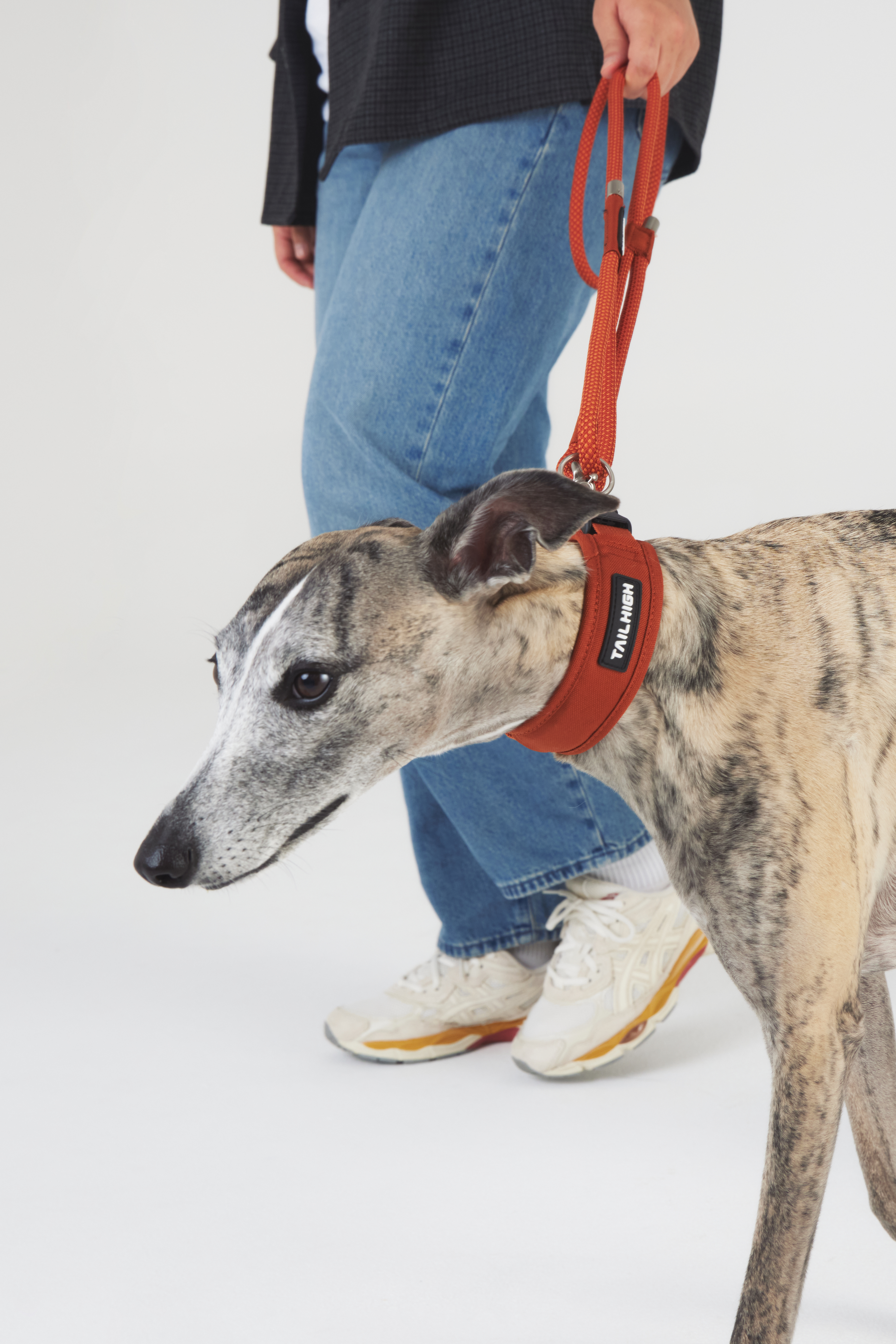 comfort collar寵物項圈