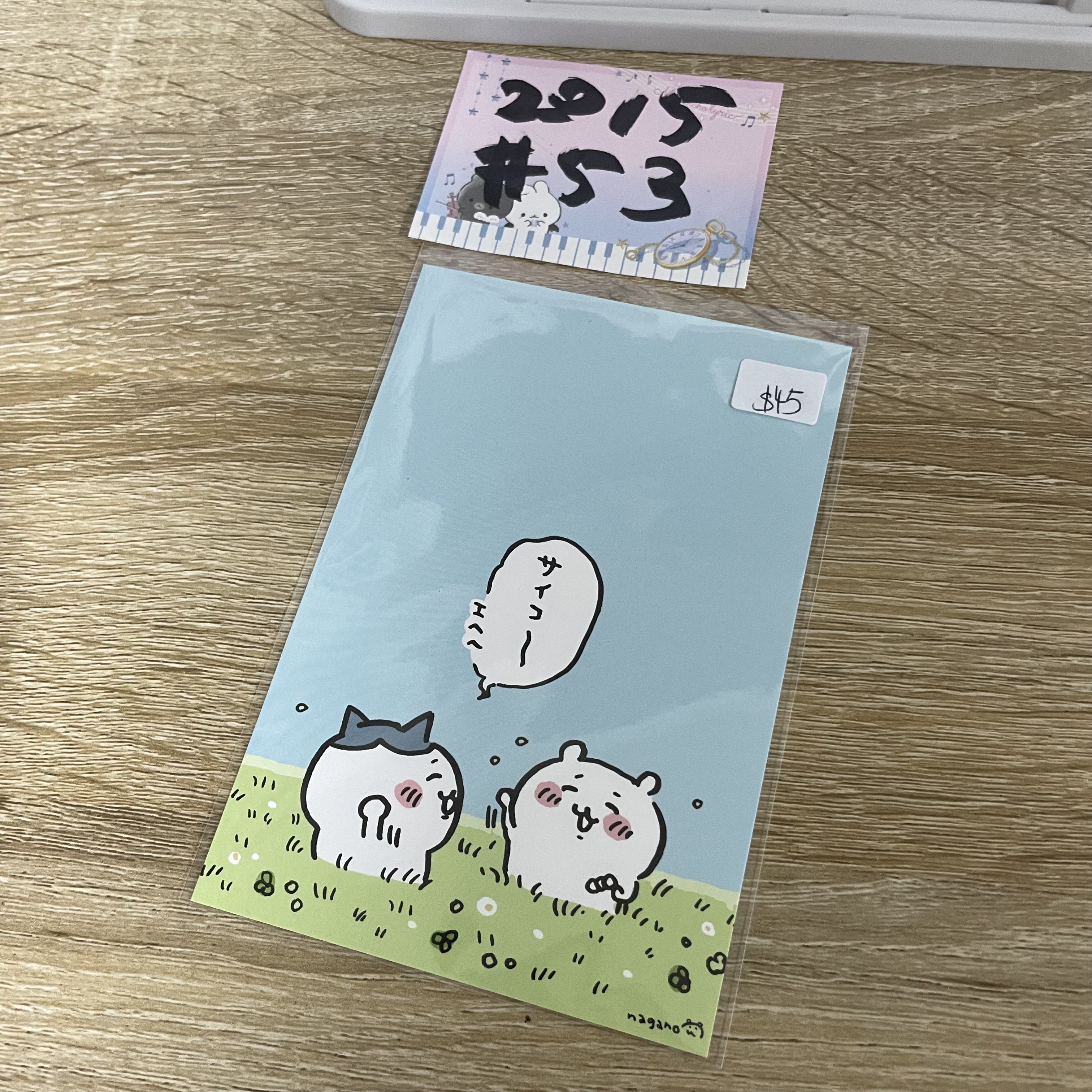 CHIIKAWA  明信片 #53