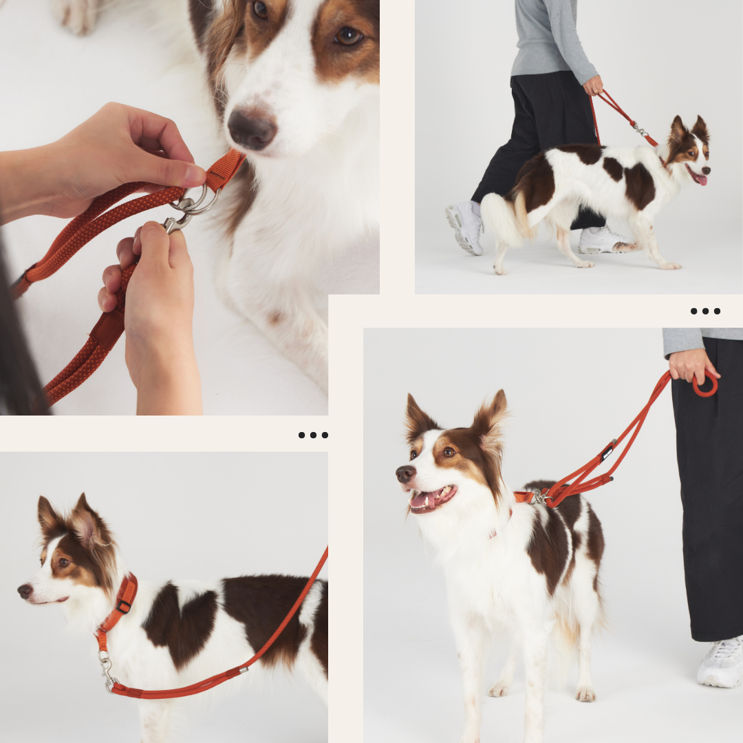 繩索牽引繩-手持