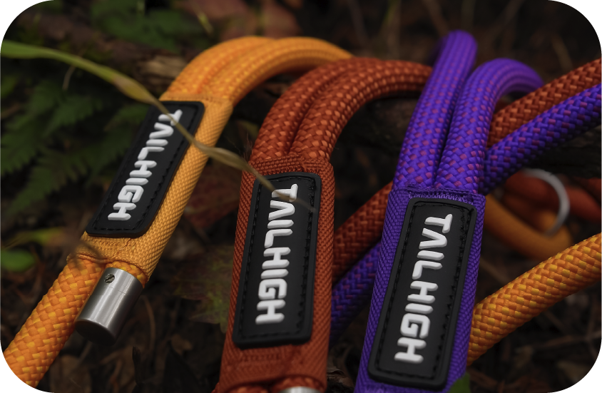 繩索牽引繩-手持