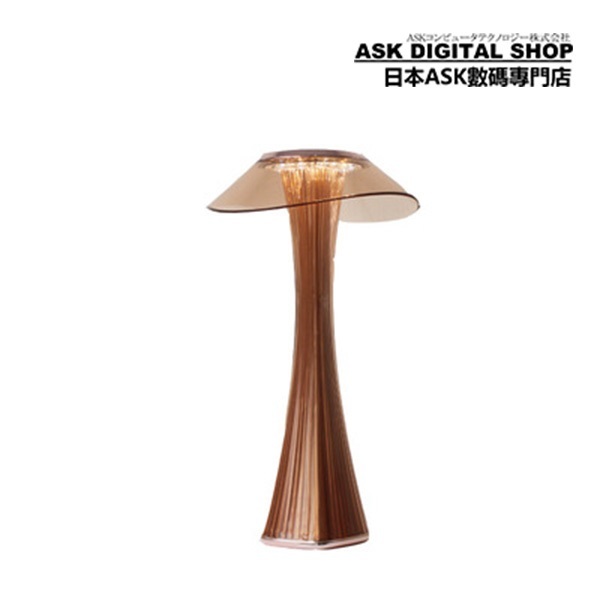 TSK Japan Home Super Beautiful LED Desk Lamp USB Rechargeable Learning Eye Protection LED Desk Lamp (P3436)