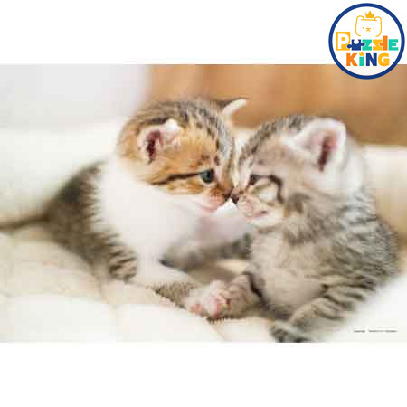 中吉尼揚子酒店