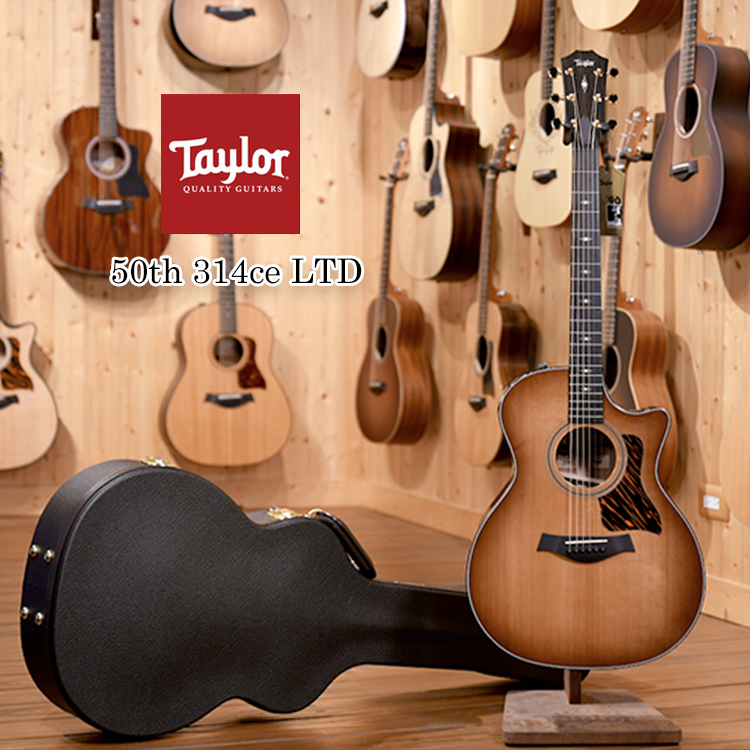 Taylor 50週年限定款 314ce 50th LTD 美製 全單 含ES-2拾音器 贈豪華琴盒