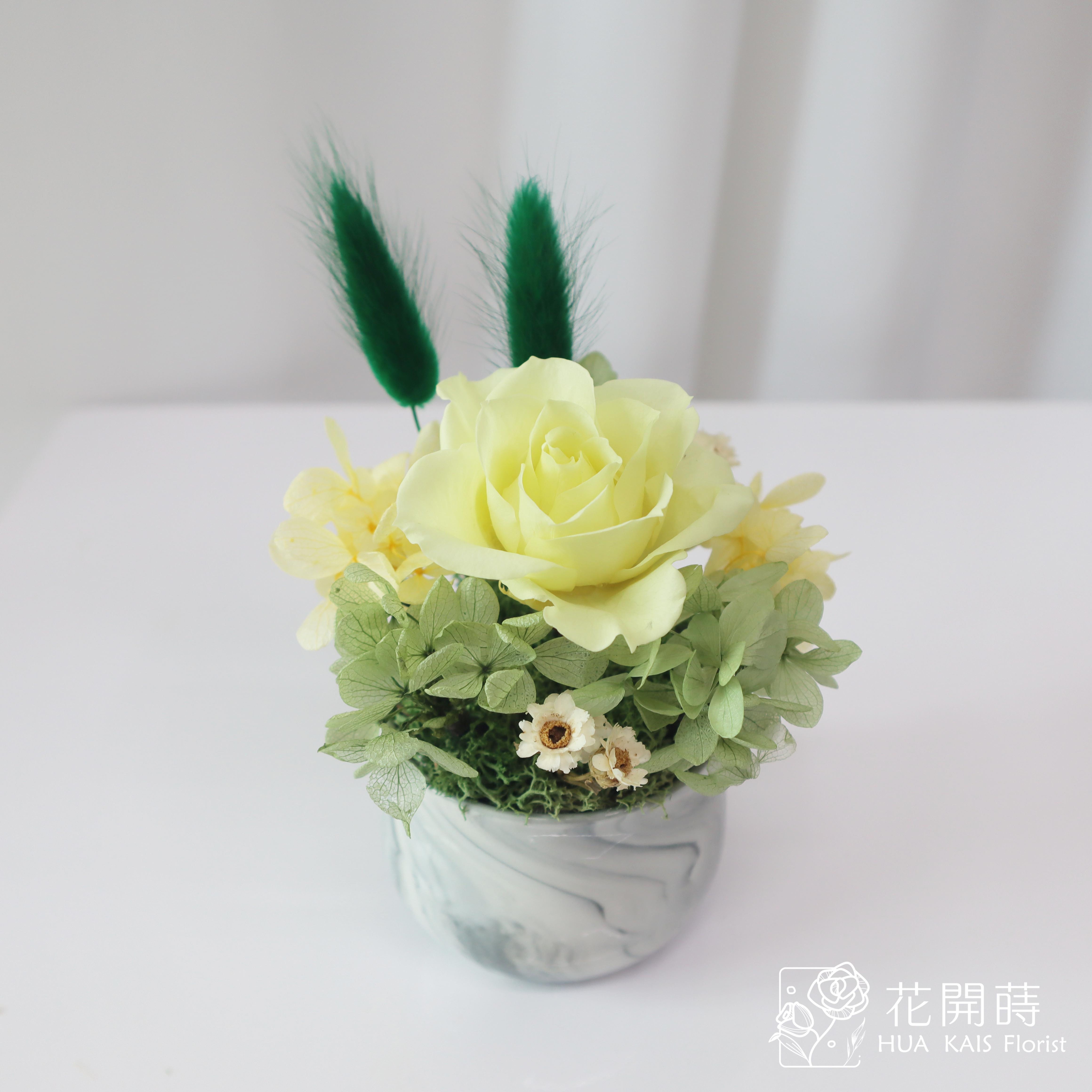 迷你小盆栽|檸檬綠|永生玫瑰花|辦公室小桌花|永生花禮物