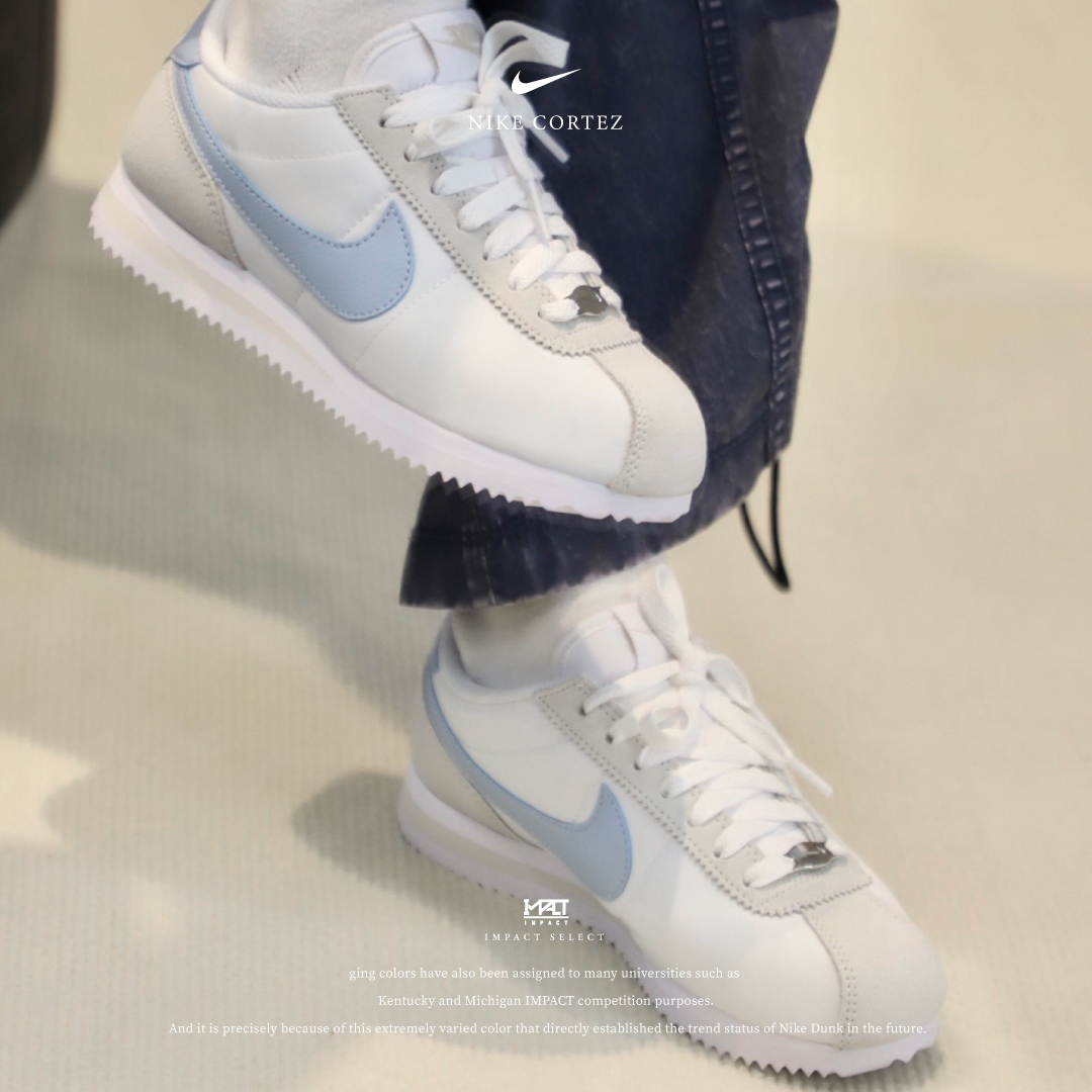 Nike Cortez 海鹽米灰 阿甘鞋 藍白 DZ2795-100