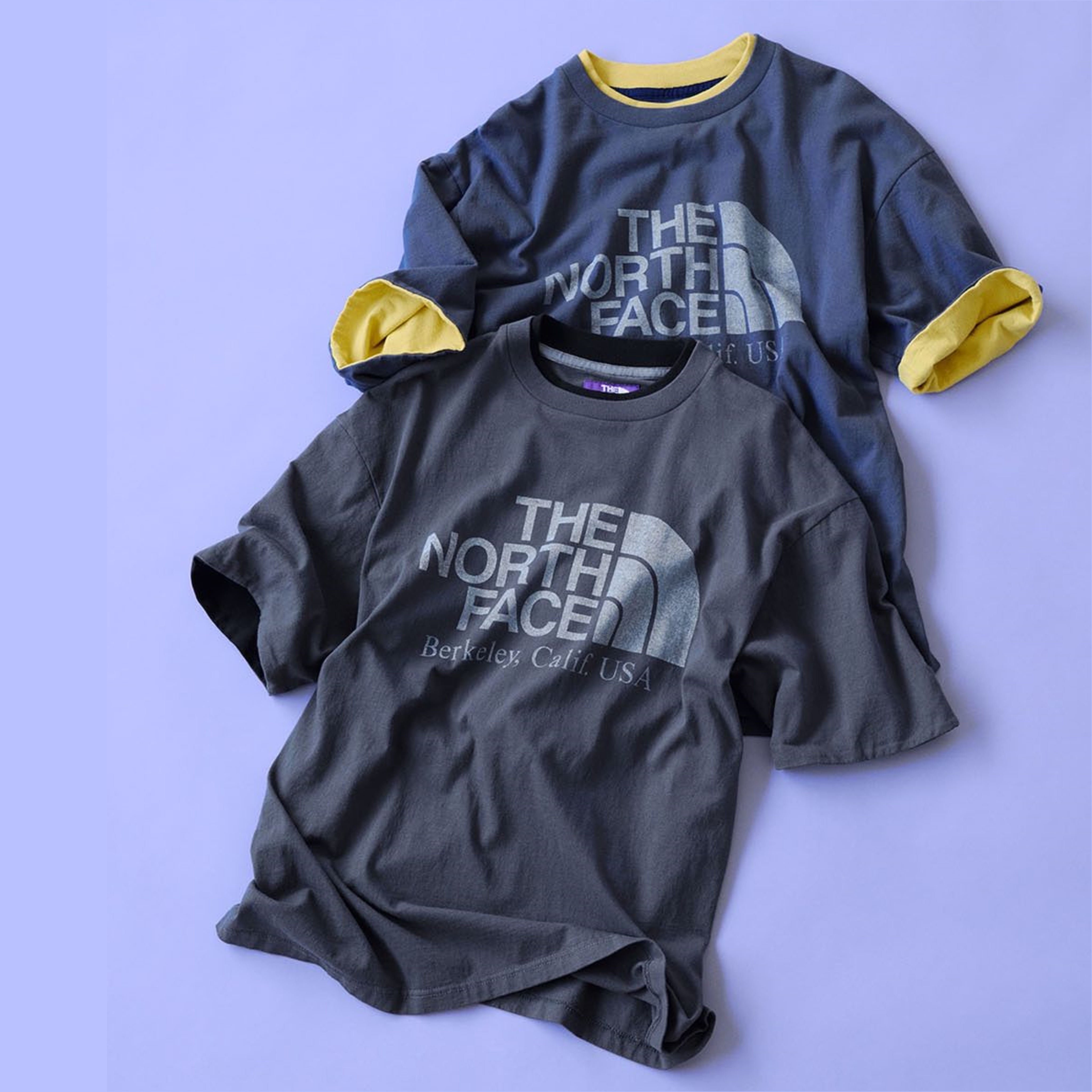 THE NORTH FACE LABEL 紫標 7oz Field Graphic Tee 假兩件 短T LOGO 熱門款 2色 NT3412N 現貨