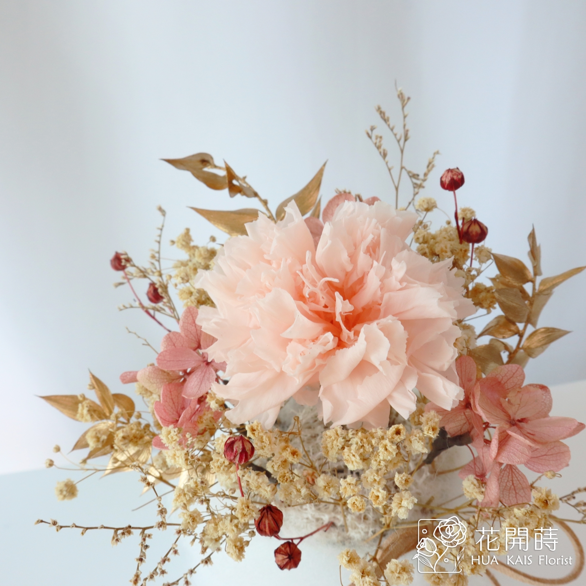 永生康乃馨小桌花|淡粉色康乃馨|開幕小盆栽|生日禮物|辦公桌小盆花|母親節禮物|母親節|康乃馨