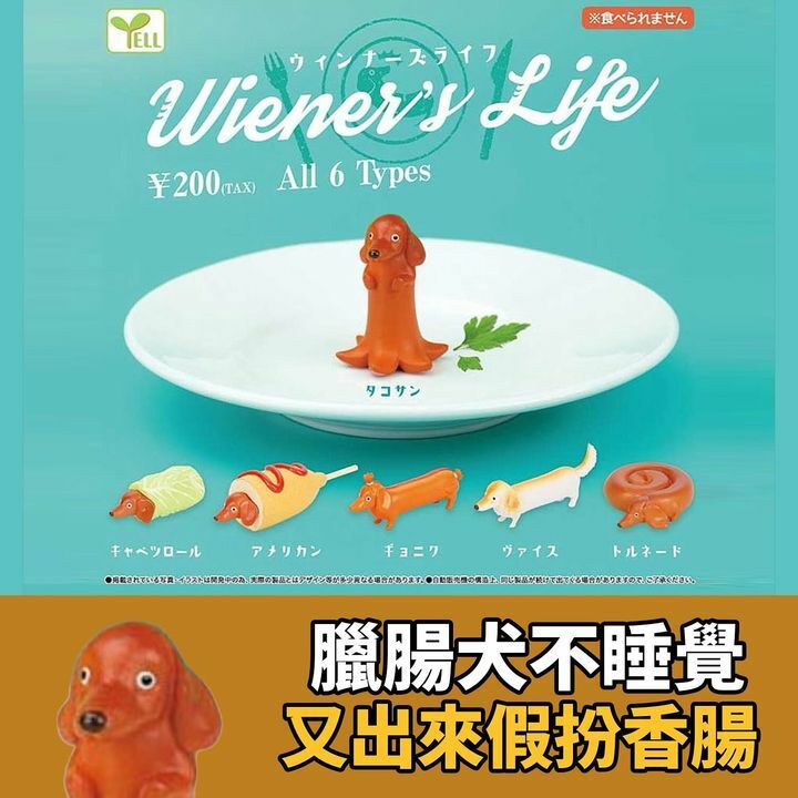 臘腸狗的一生扭蛋