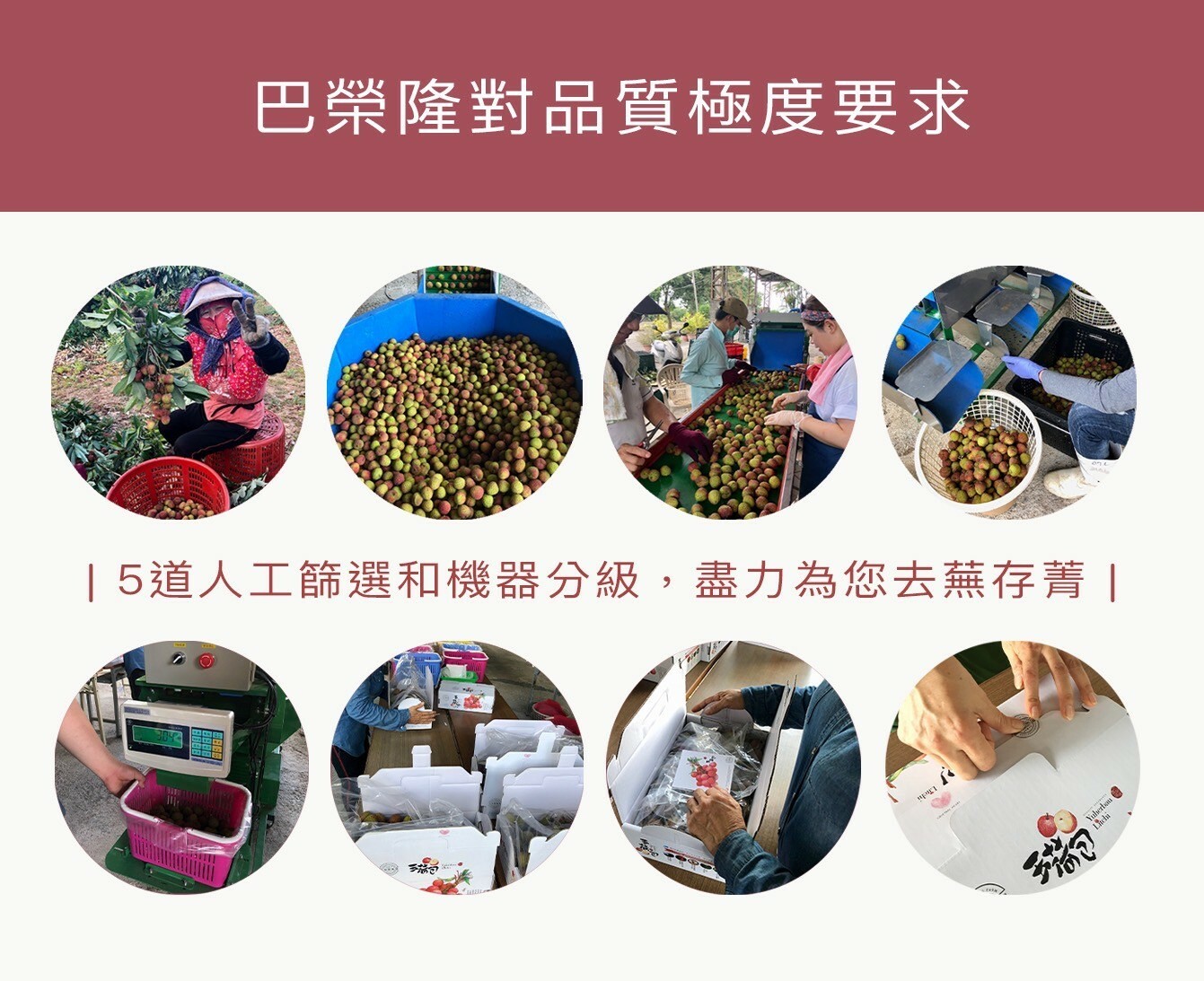 玉荷包禮盒推薦3