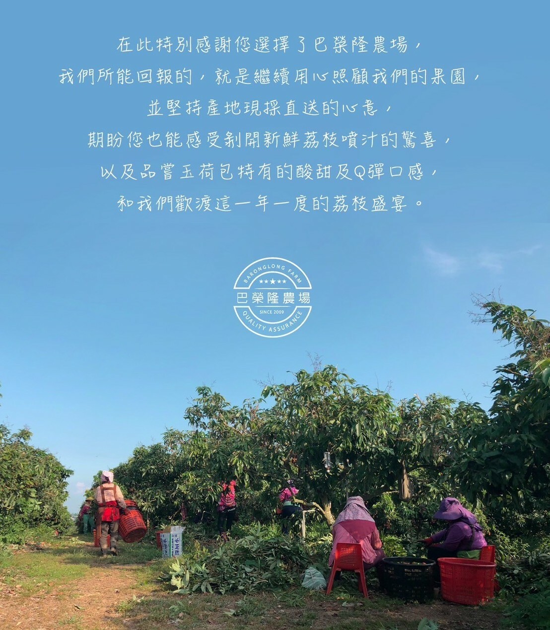 玉荷包禮盒推薦4