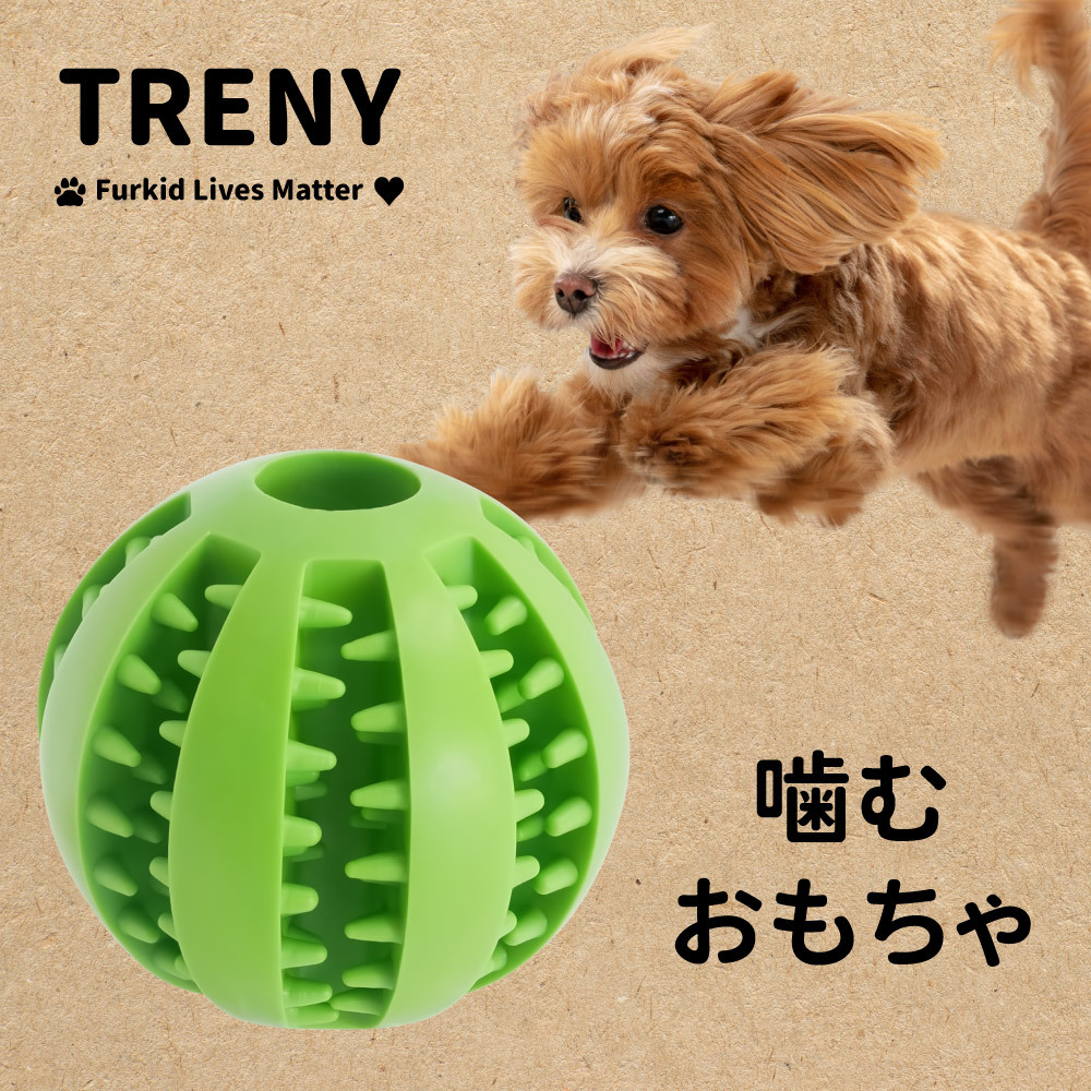 寵物耐咬磨牙漏食玩具-西瓜球