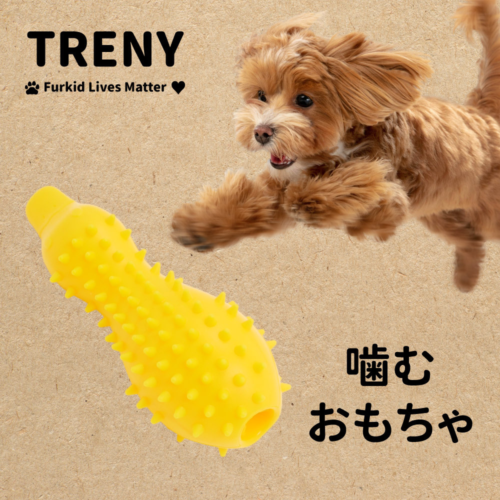 寵物耐咬磨牙漏食玩具-小鴨