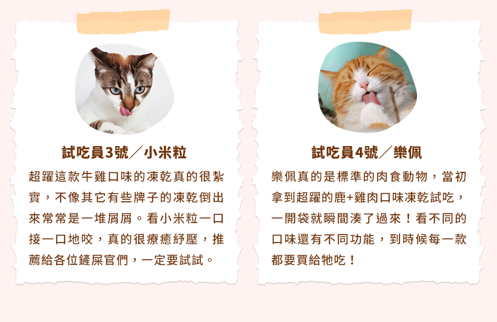 試吃體驗好評分享