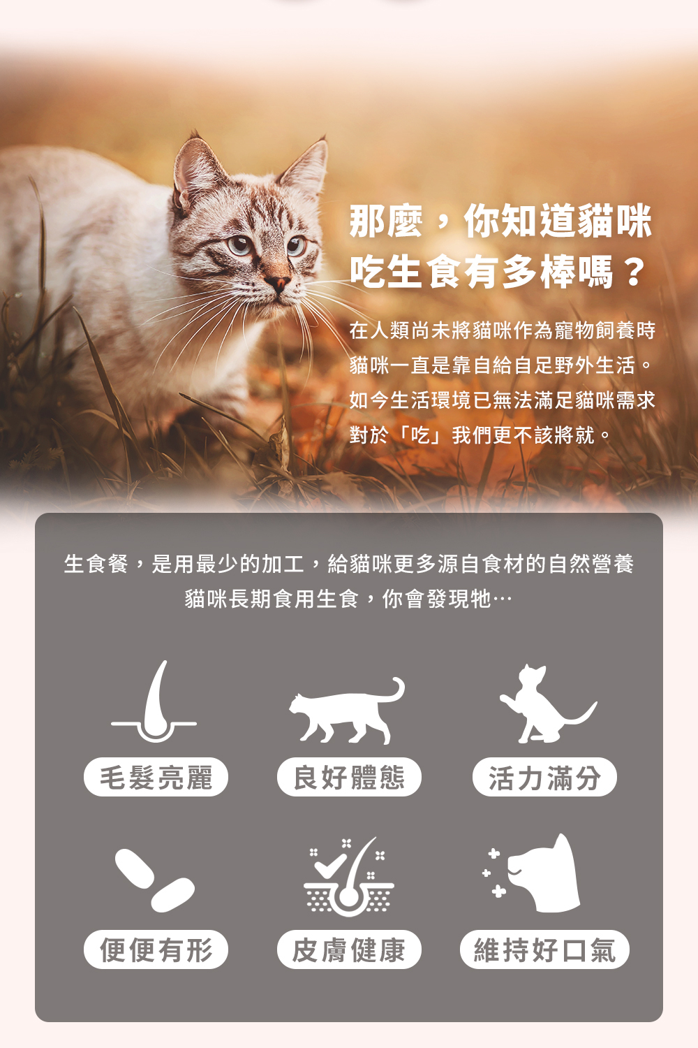 Hyperr凍乾使用98%新鮮肉塊內臟及生骨,搭配2%的綠唇貝、蜂蜜及魚油